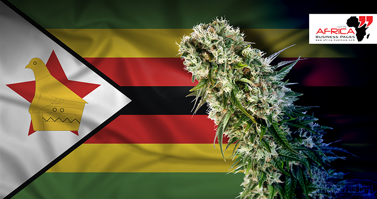 Cannabis Zimbabwe