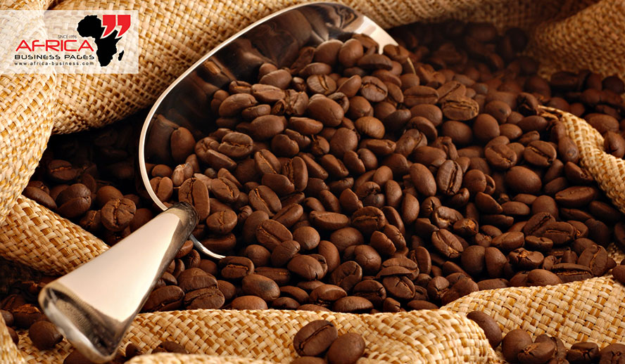 Africa coffee beans