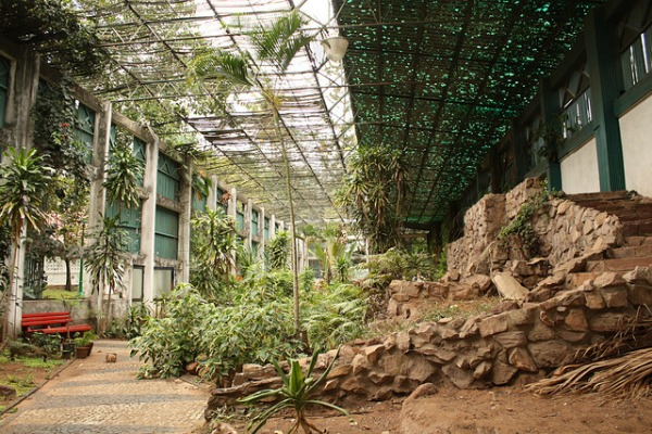 Jardim Garden Africa