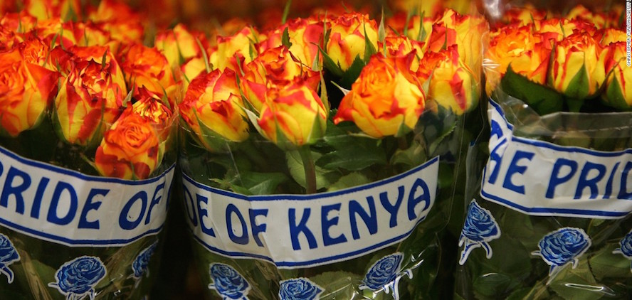 Kenya Flowers