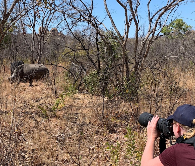Rhino Tracking Zimbabwe