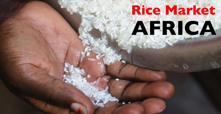 Rice Market Africa