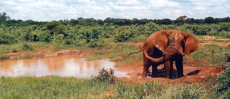 Zimbabwe tourism industry