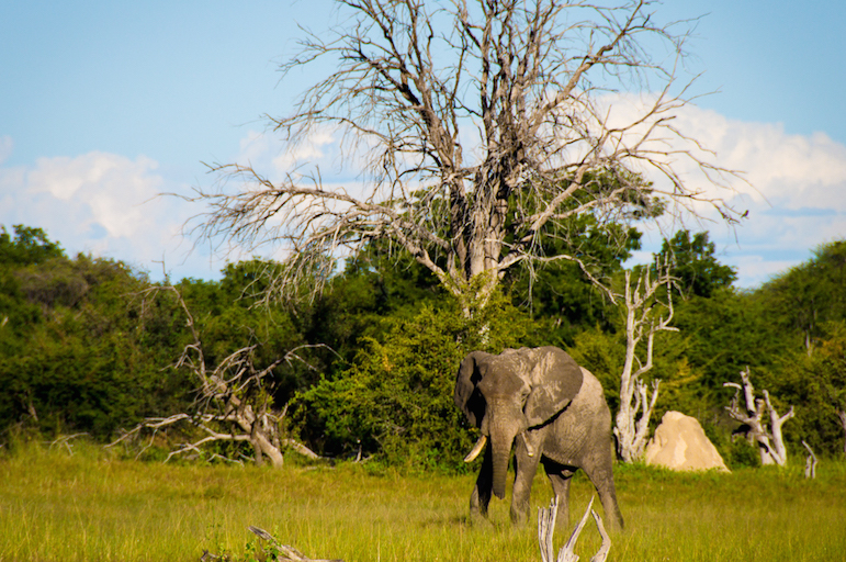 Zimbabwe tourism