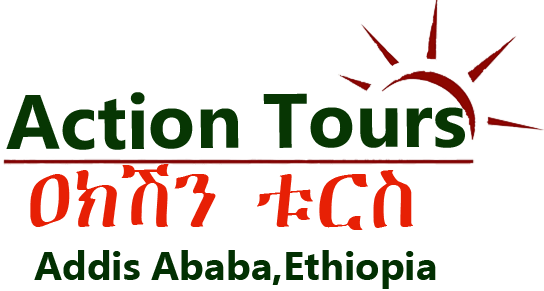 Action Tours