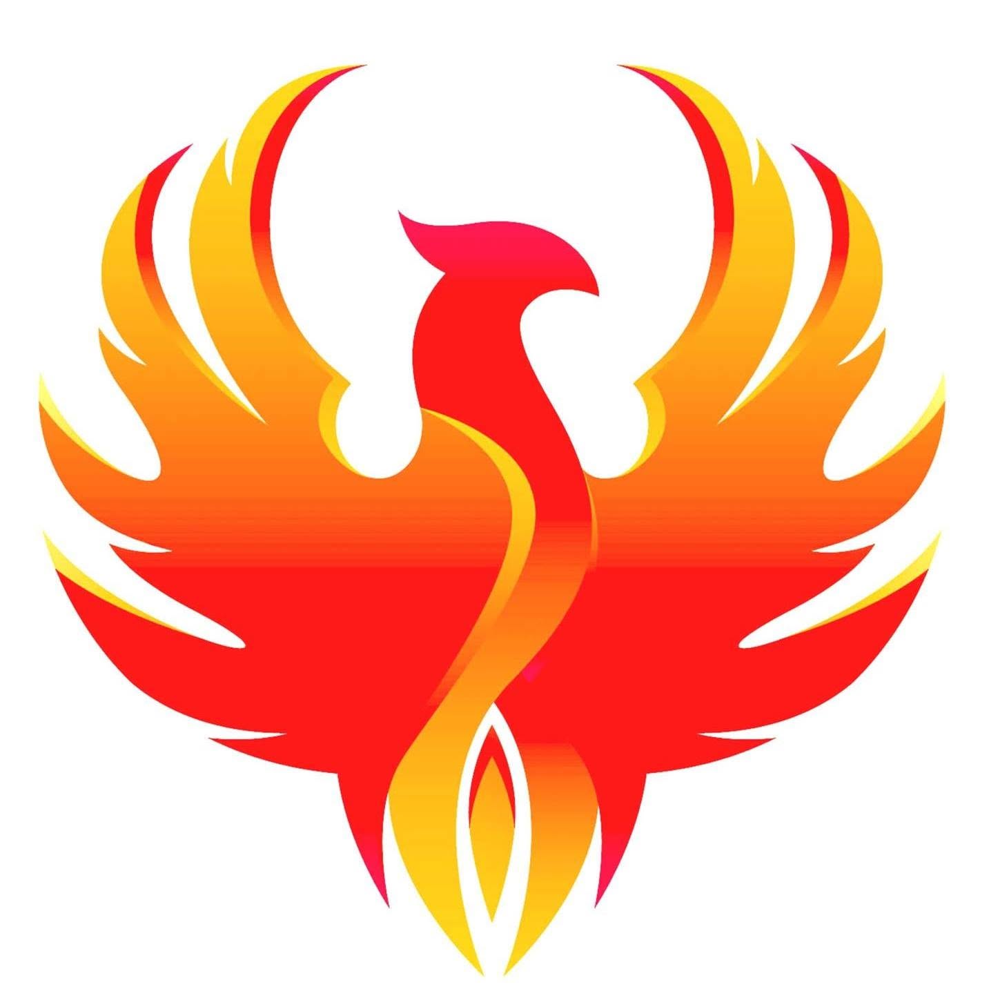 Phoenix Fire Services