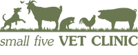 VET CLINIC