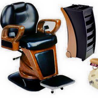 Professional Barber Chair